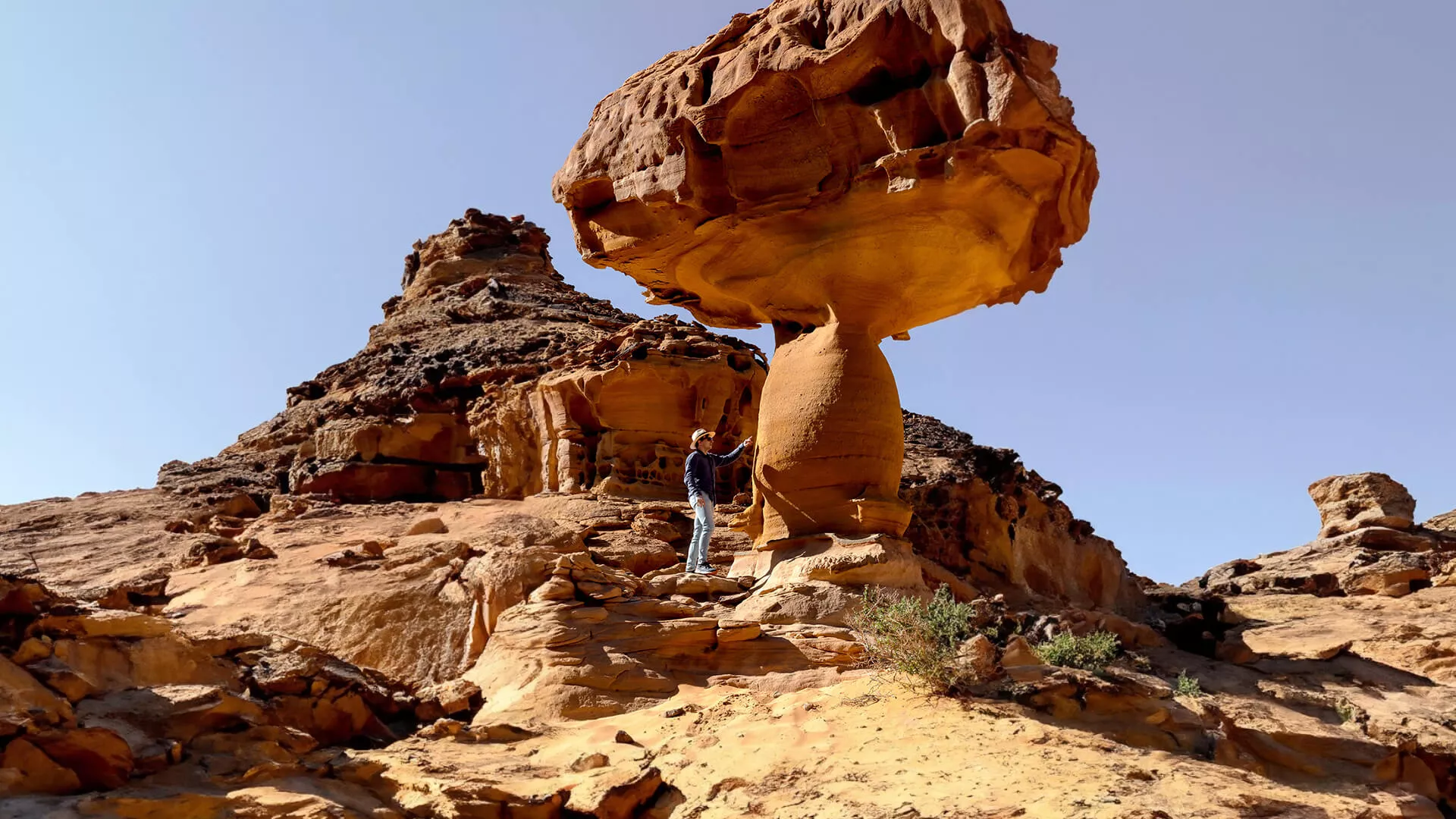 wadi-alfann-place-to-go-hero-01