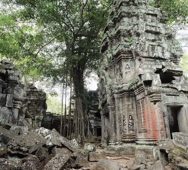 cambodia