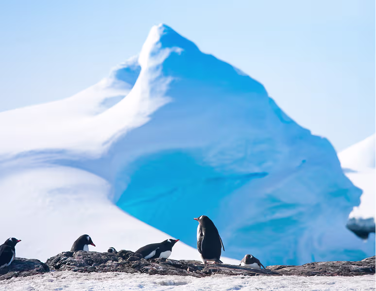 antarctica