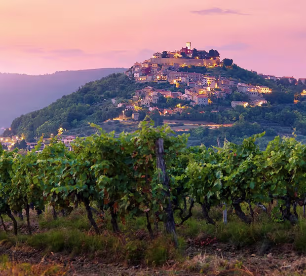 Istria's wine and olive oil