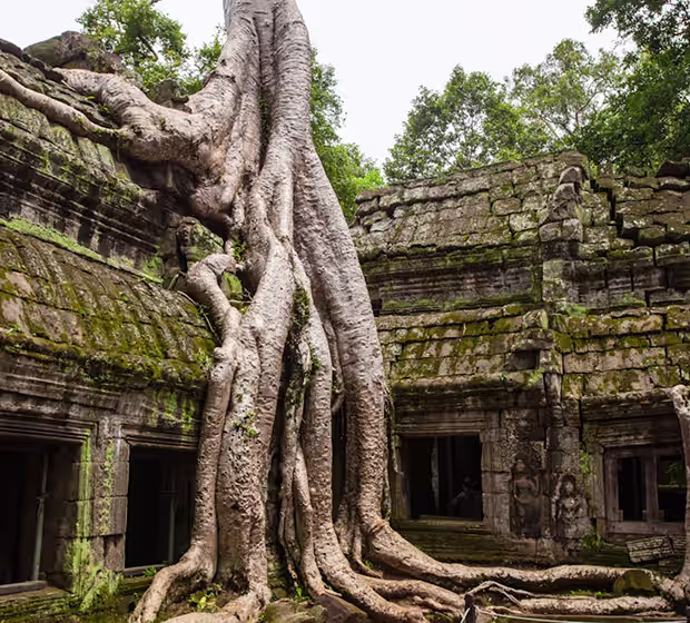 Ta Prohm