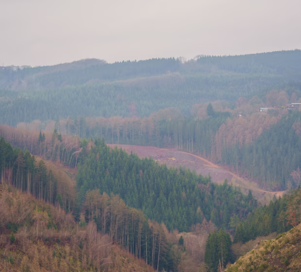 The Ardennes