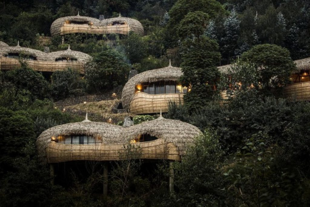 Bisate Lodge