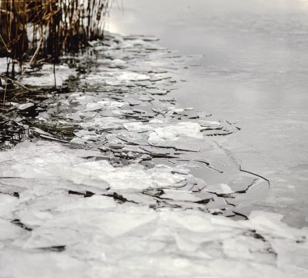 Ice swimming