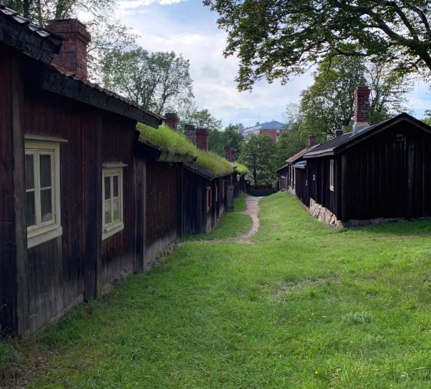 Sámi culture