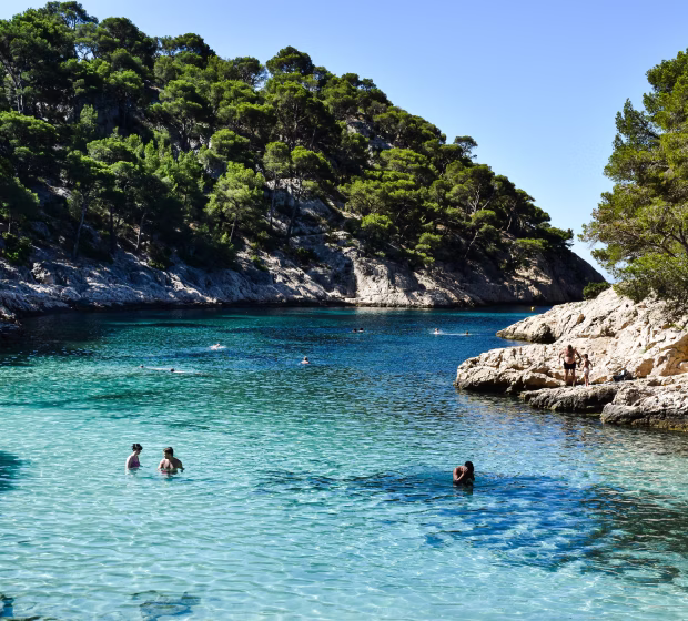Swimming in the calanques