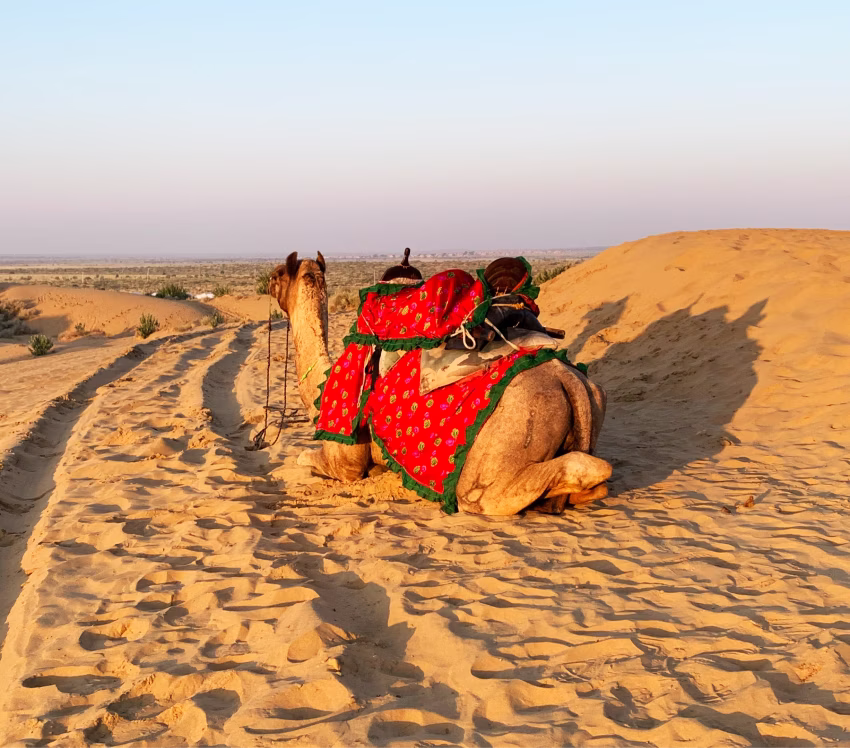 A night in the desert