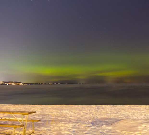Abisko's aurora