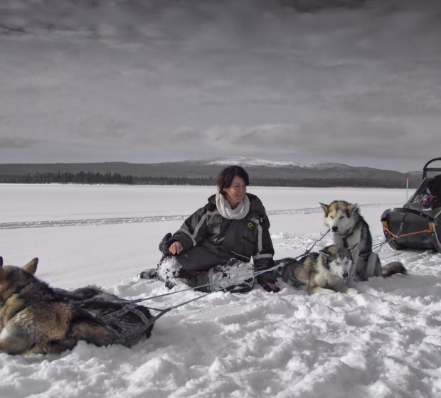 Dog sledding