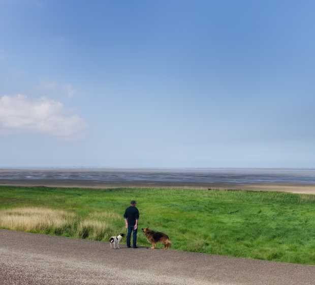 The Wadden Sea
